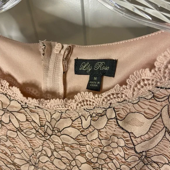 chinese dress ladies Lily Rose Depp Black Lace 2025 Oscars Fit & Flare Formal Dress main image 1